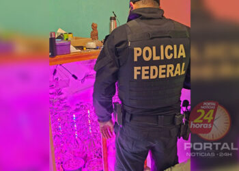 PF encontra estufa com diversos pés de maconha ao cumprir mandados no ES