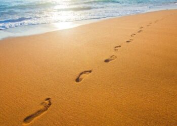 Crônica • Feliz 2024