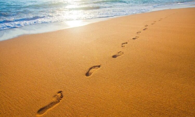 Crônica • Feliz 2024