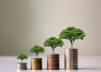 [Vila Velha] Programa Papel Zero economiza R$ 16 milhões e preserva mais de mil árvores