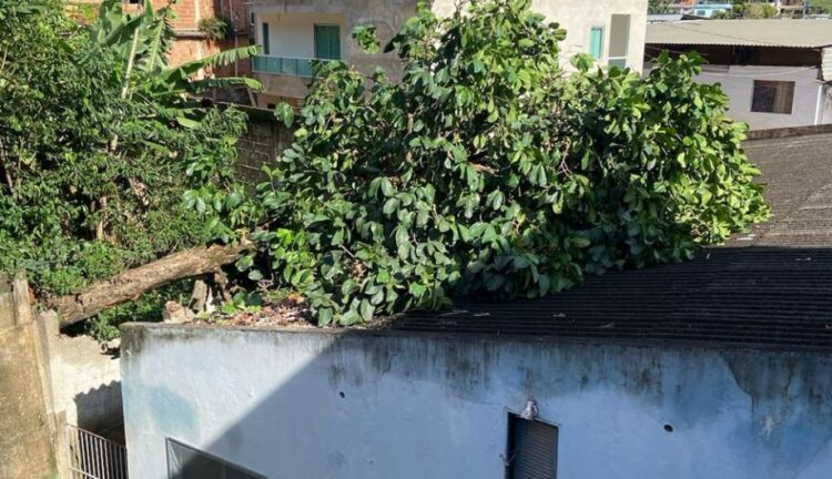 Chuva adia retorno às aulas em algumas escolas de Cachoeiro; veja quais