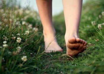 Crônica • Caminhos de esperança e espinhos