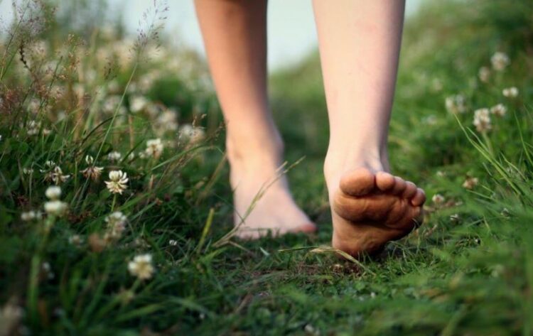 Crônica • Caminhos de esperança e espinhos