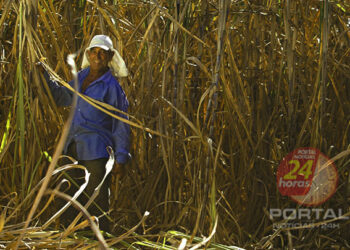 [Kennedy] Secretaria de Agricultura inicia 2ª Etapa do Programa de Incentivo à Lavoura Canavieira
