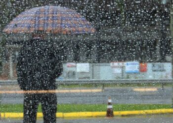 Crônica • A Palavra Incompreendida e Sem Função