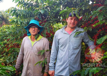 [Orientação] Como melhorar a produtividade em pequenas propriedades rurais