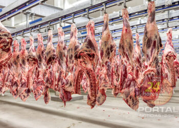 [Exportações] Mais 38 frigoríficos brasileiros podem exportar carnes para a China