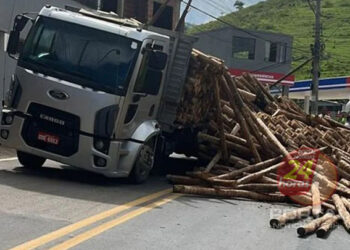 Carga de madeira cai na pista e interdita trecho da BR 482 em Alegre (ES)