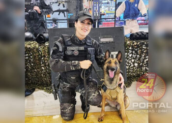 [Polícia Penal] Cadela farejadora é usada para detectar dispositivos eletrônicos