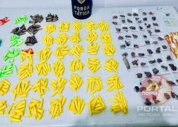 [Patrulhamento a pé] PM apreende mais de 400 pinos de cocaína em Vila Velha (ES)