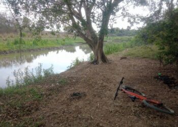 Crônica • Caçando a Mim