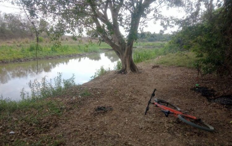 Crônica • Caçando a Mim