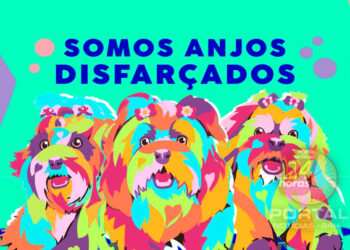 [Causa animal] ICORES entrega mural em Vitória (ES) para sensibilizar a sociedade