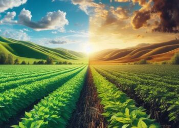 Artigo. Como o agro vai reagir diante das mudanças climáticas?