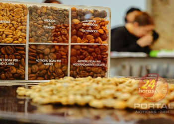 Feira ES+Café promove imersão no universo da cafeicultura capixaba