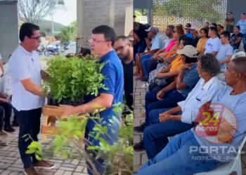 Produtores de Itapemirim (ES) recebem mudas de aroeira através do projeto Arranjos Produtivos