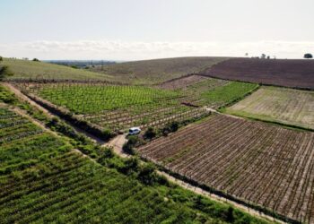 Presidente Kennedy vive o seu melhor momento na Agricultura