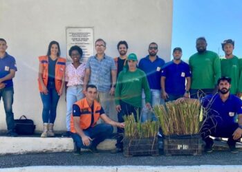 [Presidente Kennedy] Defesa Civil realiza plantio de capim que previne desastres naturais