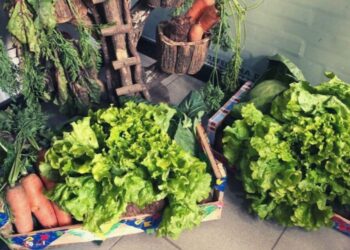 Vila Velha firma parceria para prestar assistência técnica a produtores do Xuri