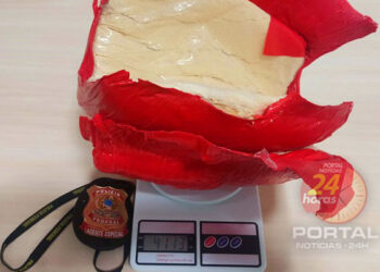 PF combate tráfico interestadual de drogas no aeroporto de Vitória (ES)