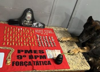 [Cachoeiro] Com ajuda de Messi, policiais encontram drogas no Gilson Carone