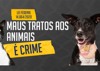 [Ales] CPI quer indiciamento de suspeito de matar cão