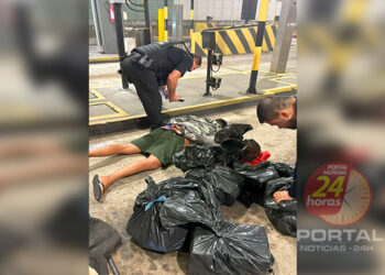 [Mimoso do Sul] Operação conjunta termina com cerca de 100kg de maconha apreendidos