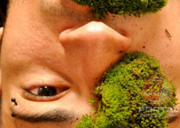 [Festival de Cinema de Vitória] Maratona cinéfila capixaba