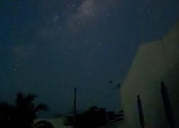 Artigo. No Breu da Humanidade