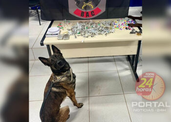 PM apreende cocaína, maconha e haxixe em Vitória (ES)