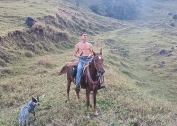 Crônica • Cavalgando a vida