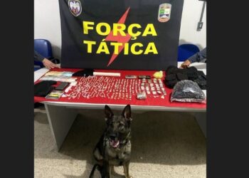 [Anchieta] Força Tática desmantela rede de tráfico no bairro Nova Jerusalém