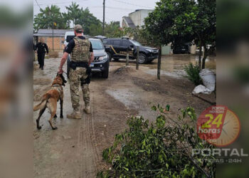 [Mulus] PF faz operação contra o tráfico de drogas em dois estados