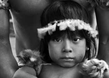 Crônica • Seca, Eleições, Incêndios e Rock in Rio