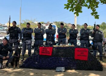 [Cachoeiro] Mais de meia tonelada de maconha apreendida em bar na localidade de Safra, às margens da BR-101