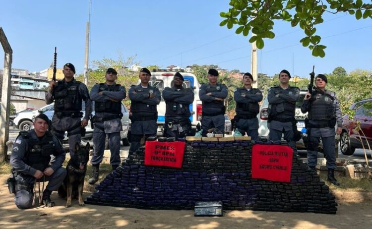 [Cachoeiro] Mais de meia tonelada de maconha apreendida em bar na localidade de Safra, às margens da BR-101