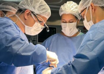 Ilustrativa / Secom ES