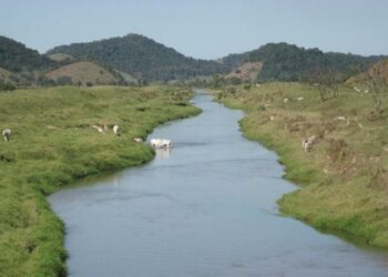 Crônica • Palavras Não Santificadas