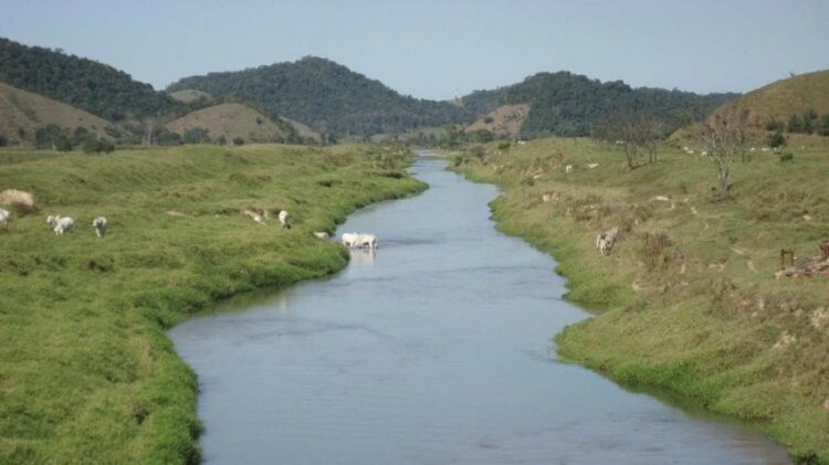 Crônica • Palavras Não Santificadas