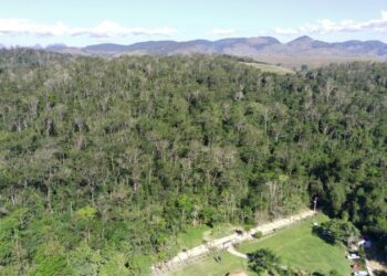[Cachoeiro] Pesquisa feita em Pacotuba mostra que seca e altas temperaturas dificultam regeneração da Mata Atlântica