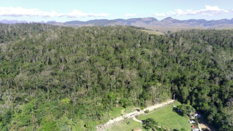 [Cachoeiro] Pesquisa feita em Pacotuba mostra que seca e altas temperaturas dificultam regeneração da Mata Atlântica