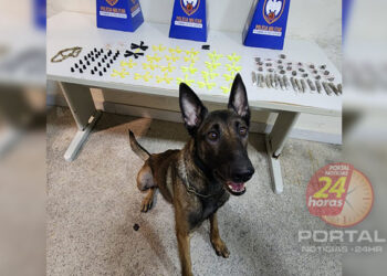 [Novamente] PM apreende pela quinta vez menor por tráfico de drogas em Guarapari