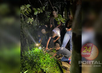 “Uma noite no Museu” leva público a uma visita noturna ao Museu de Biologia Prof. Mello Leitão