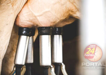 [Governo] Espírito Santo registra crescimento na produção de leite, tilápia e mel em 2023