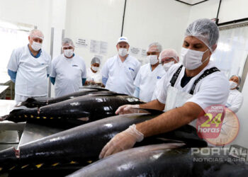 [Pesca] Alunos desenvolvem projeto para destinação dos resíduos