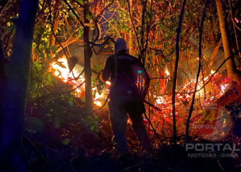 Corpo de Bombeiros intensifica combate a incêndios florestais com Operação Saturação