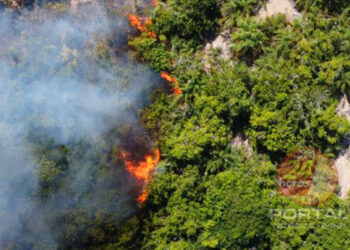 Espírito Santo registra aumento assustador de 94% no número de queimadas em vegetações