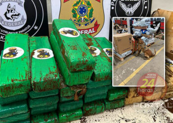 [Café?] PF apreende 30 kg de maconha durante fiscalização em empresa de envio de mercadorias no ES