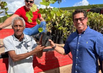 Assembleia Legislativa promove primeira edição da Feira da Agroindústria Capixaba. Veja a programação