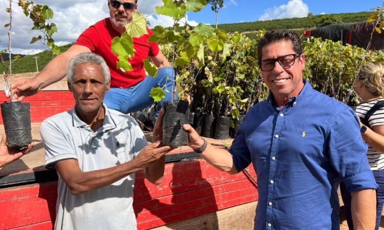 Assembleia Legislativa promove primeira edição da Feira da Agroindústria Capixaba. Veja a programação